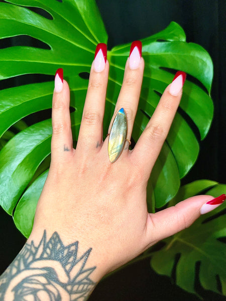 Gold Filled Adjustable Rings Labradorite & Moonstone